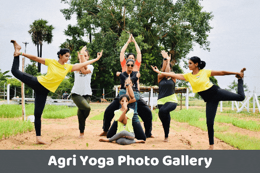 Online Yoga Classes for Professionals